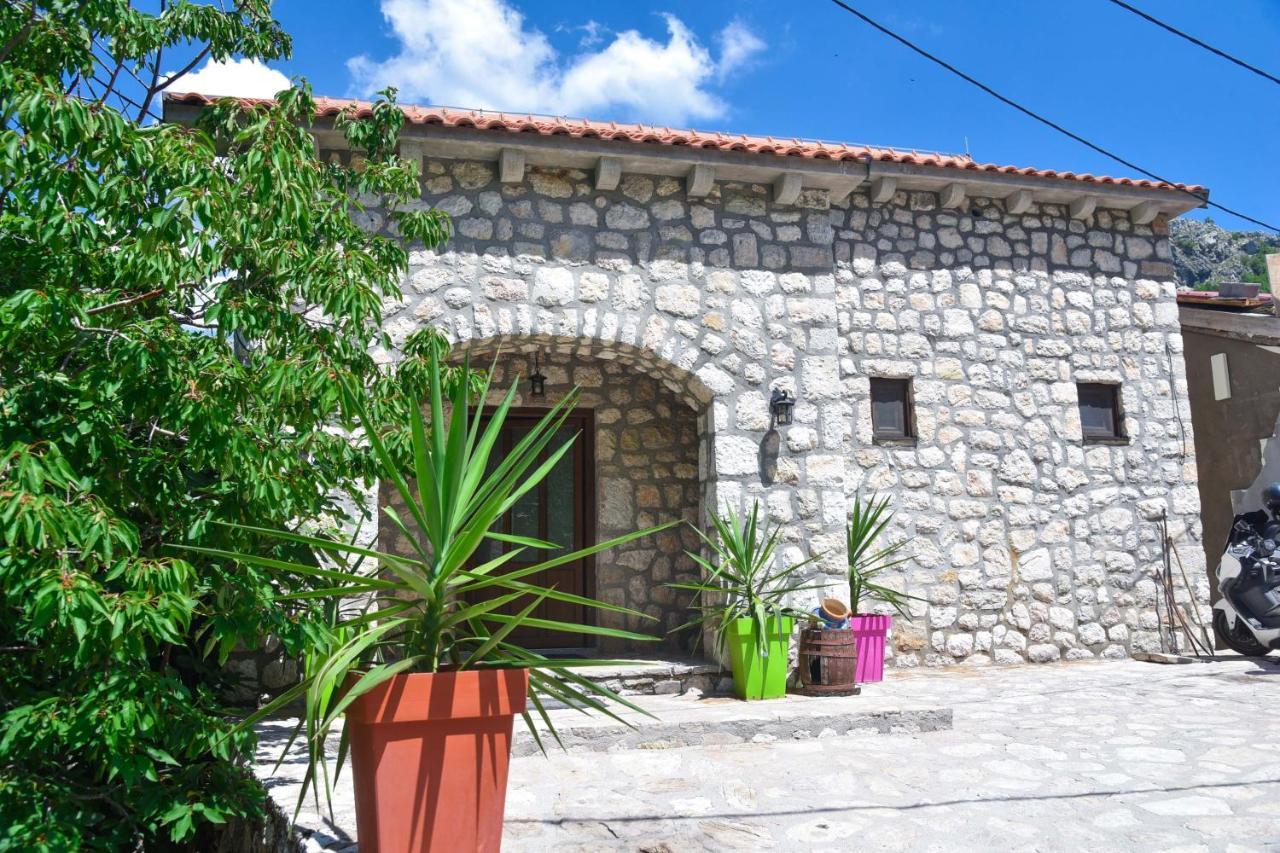 Dapcevic Budva