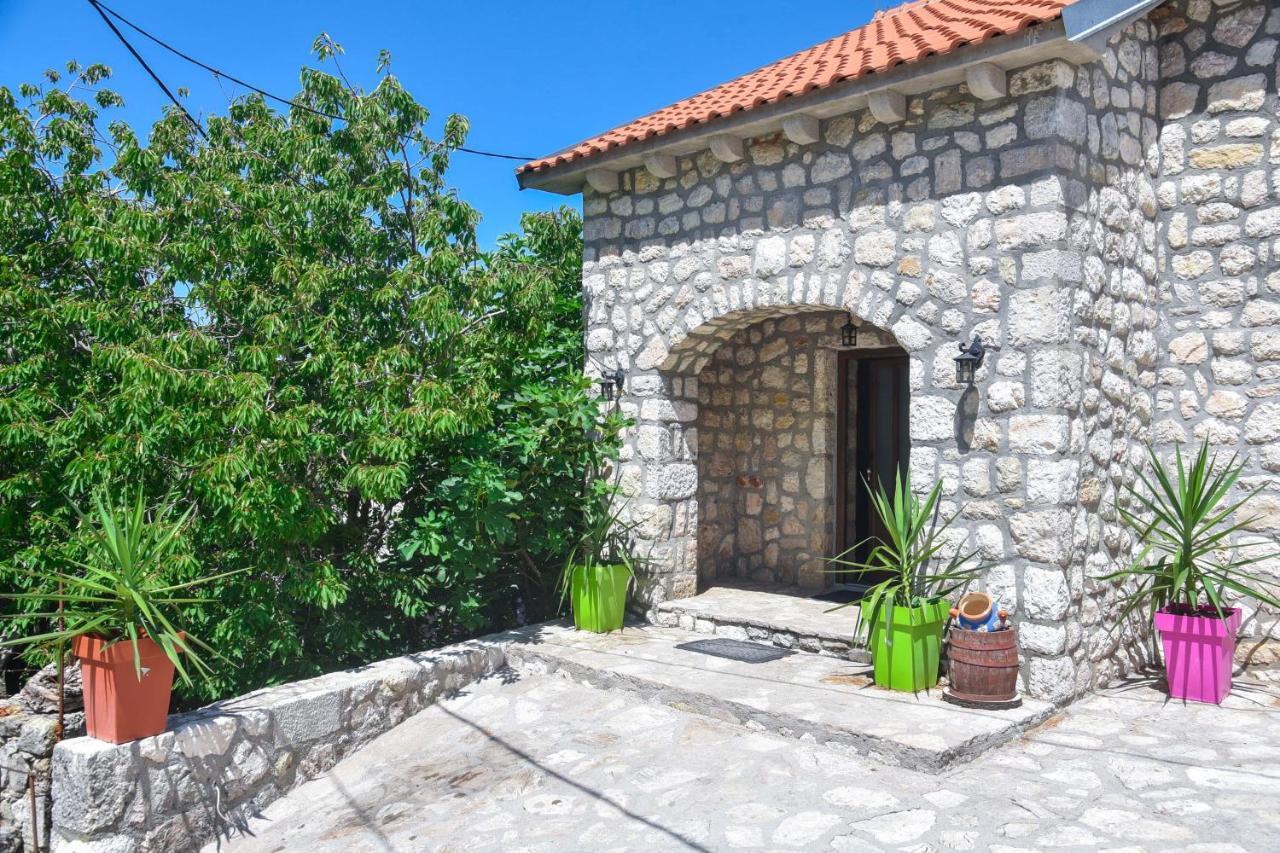 Apartment Dapcevic