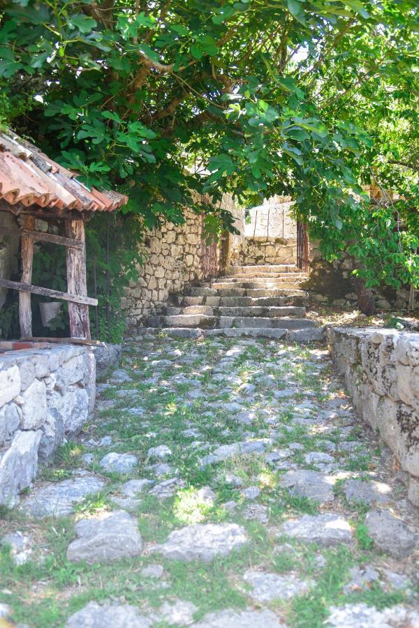 Dapcevic Apartment Budva