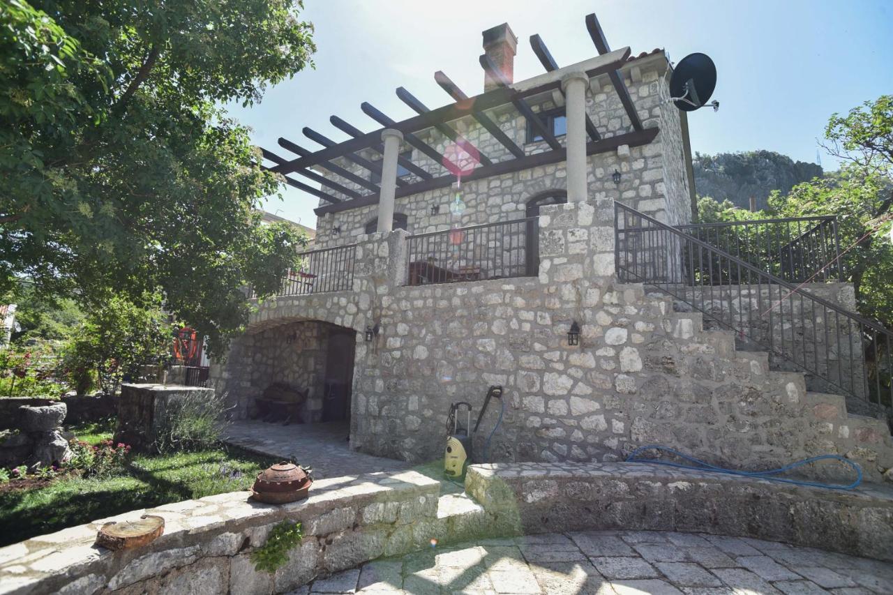 Dapcevic Budva