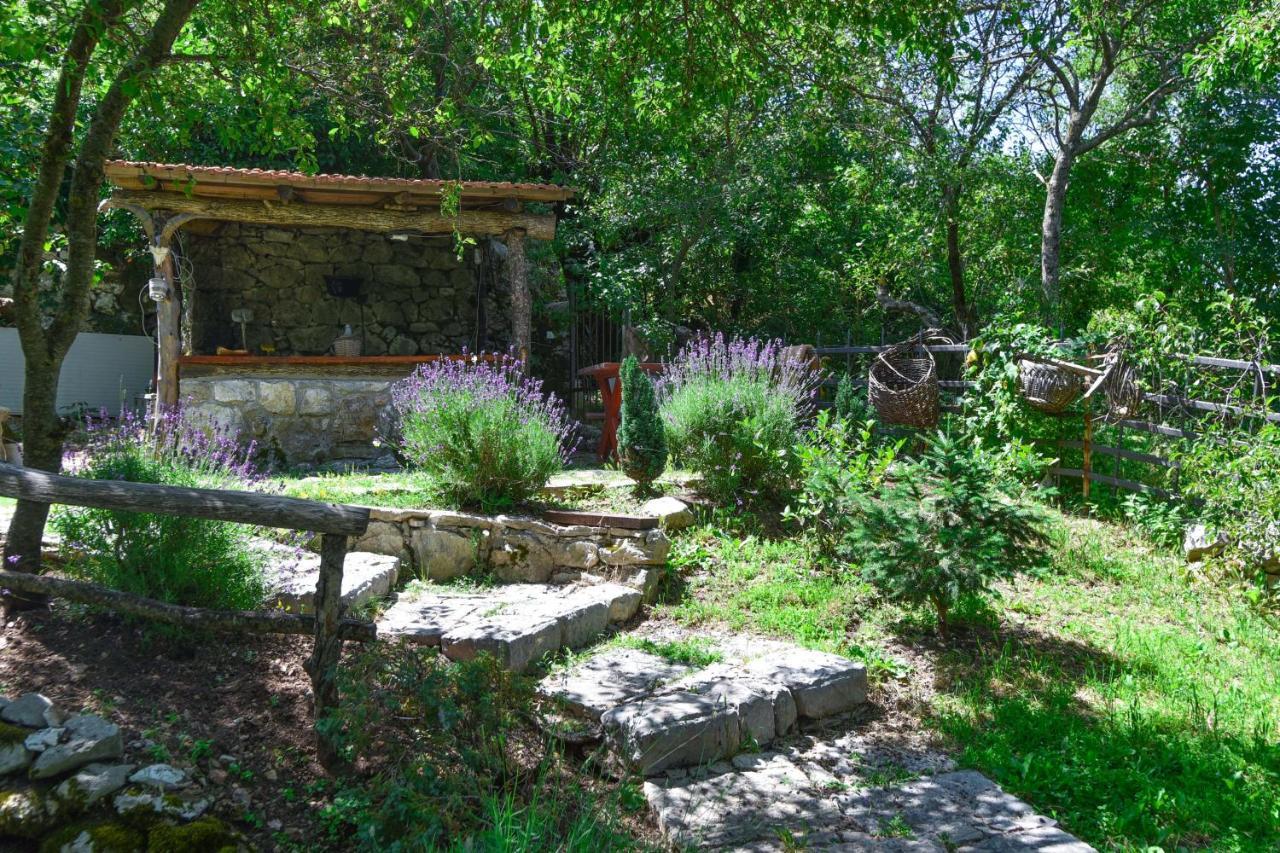 Dapcevic Apartment Budva